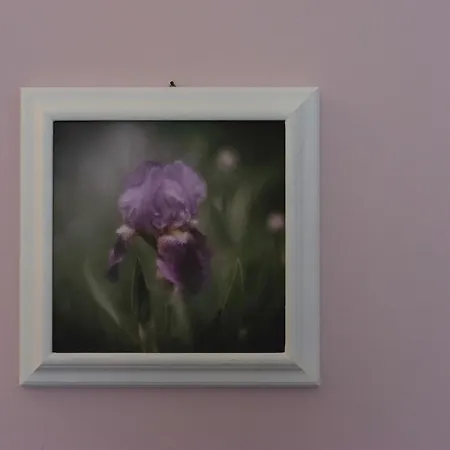 Dimora Giardino Di Giulietta Penzion
