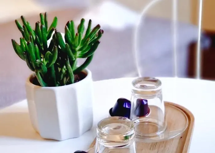 Dimora Montecchi 招待所