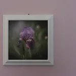 Dimora Giardino Di Giulietta בית הארחה